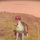 Image for article titled No, Steam Isn't Offering 'Special Exemptions' For No Man's Sky Refunds